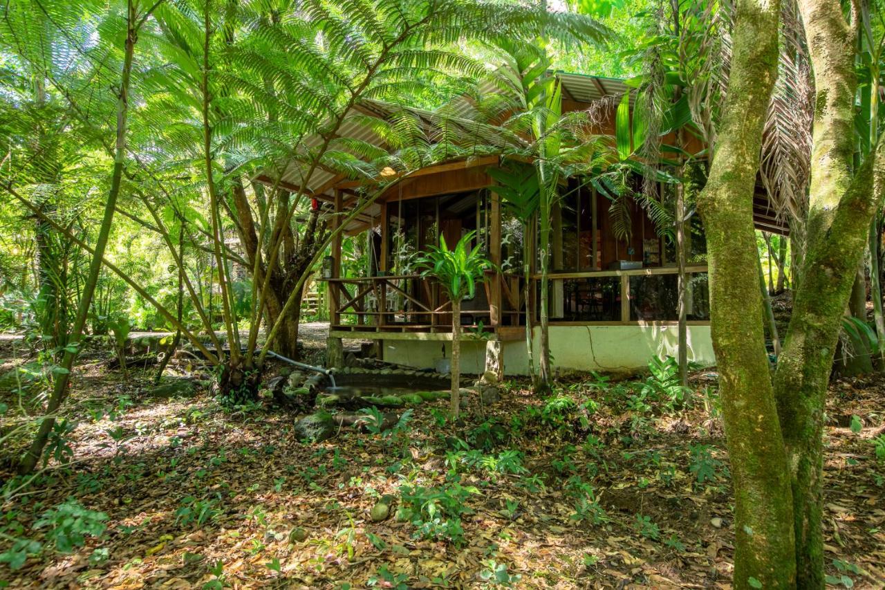 Cabanas Del Lago La Fortuna Esterno foto