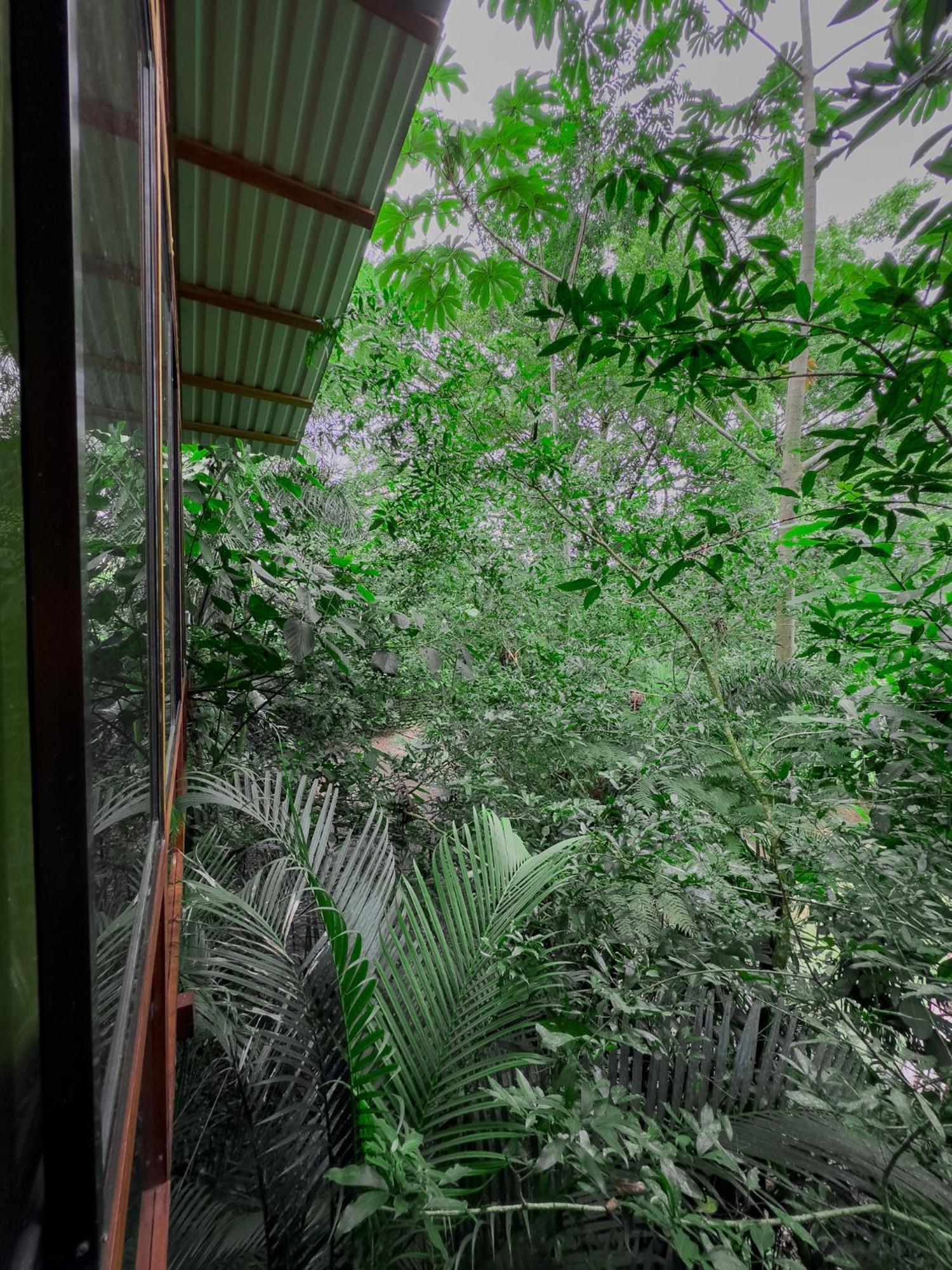 Cabanas Del Lago La Fortuna Esterno foto